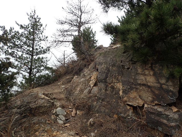 児島 龍王山 登山