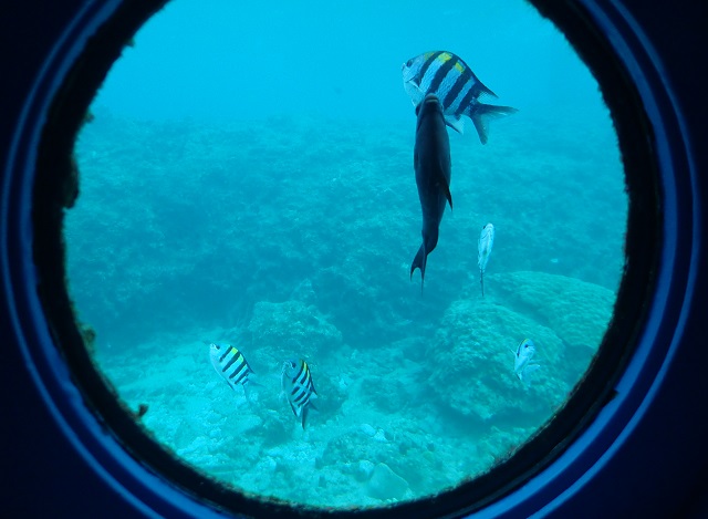 ブセナ海中公園 正月 沖縄旅行