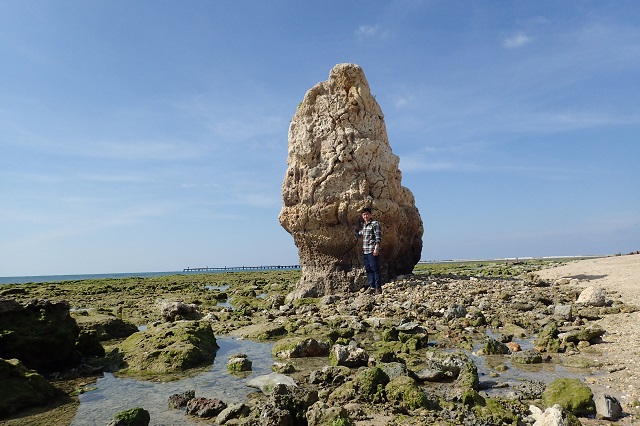 瀬長島 ランニング ウミカジテラス