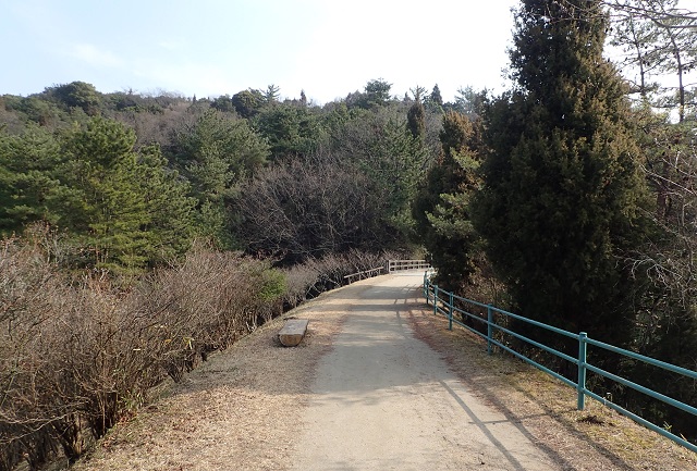 深山公園 ウォーキング 冬