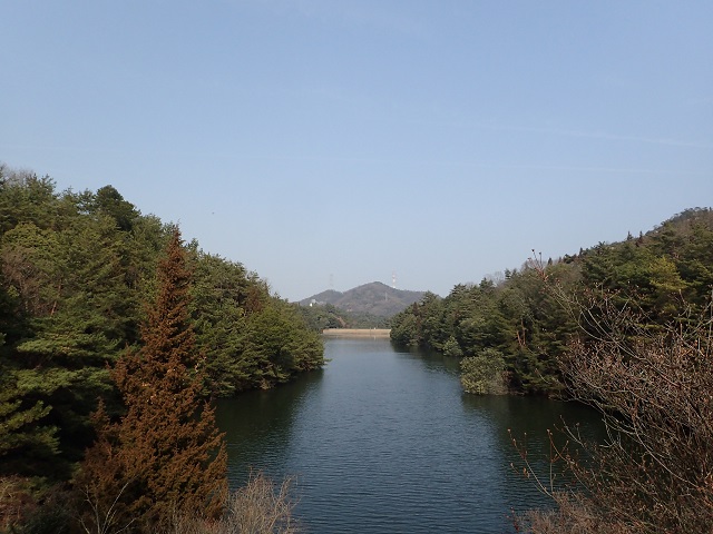 深山公園 ウォーキング 冬