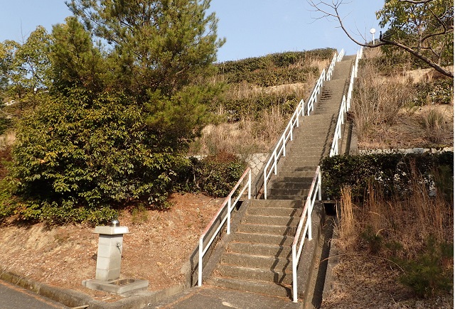 深山公園 ウォーキング 冬