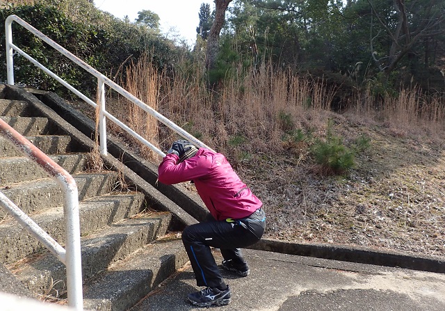 深山公園 ウォーキング 冬