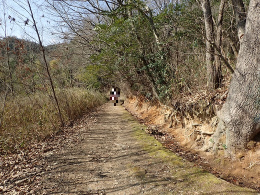 吉備路の山全山縦走大会 kibi31kjuso.web