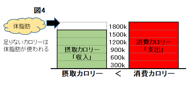 ニューヨクササイズ・ダイエット