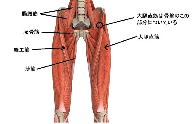 ギックリ腰 脚のシビレ