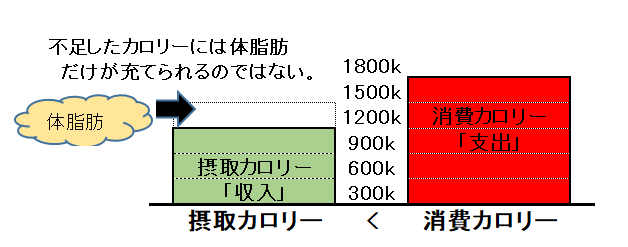 ニューヨクササイズ ダイエット