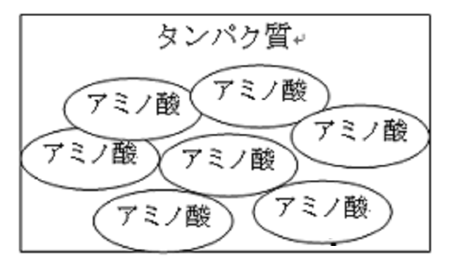 タンパク質 食べ方 ダイエット