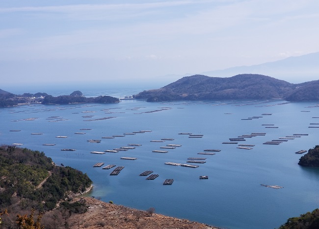 岡山いこいの村 貸切露天風呂 ブログ