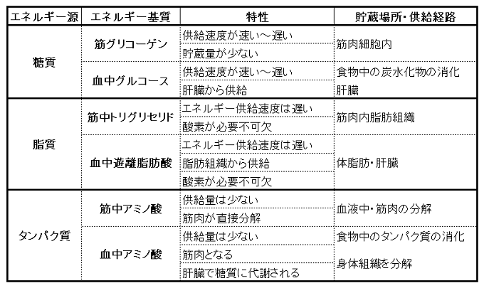 ニューヨクササイズ ダイエット