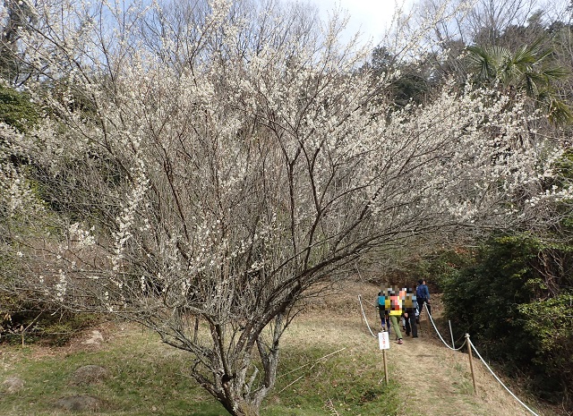 第4回 吉備路の山全山縦走大会 ブログ 2018