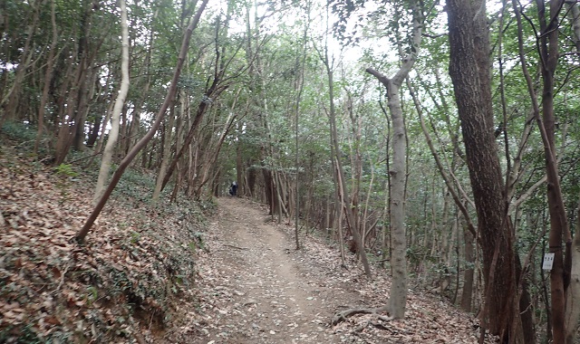 吉備路の山全山縦走大会 吉備津神社