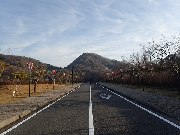 玉野市深山公園 桜 開花