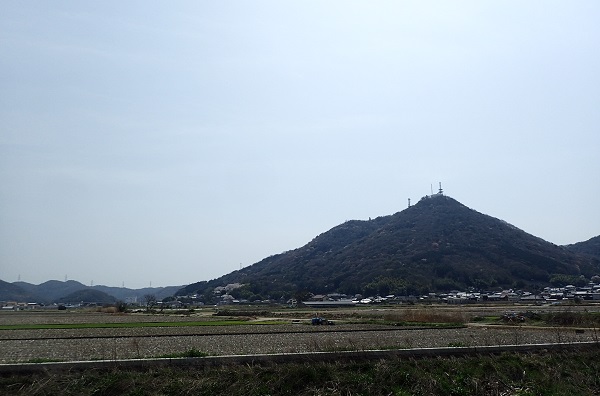 常山 桜 玉野市