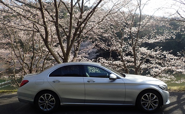 ベンツCクラス W205 桜