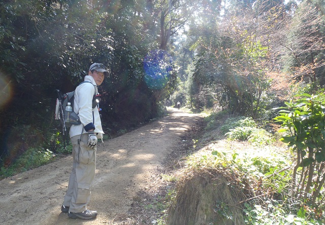 讃岐うどんつるつるツーデーウォーク 　崇徳天皇・へんろ道コース ブログ