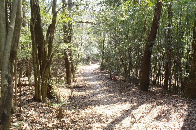 讃岐うどんつるつるツーデーウォーク 　崇徳天皇・へんろ道コース ブログ