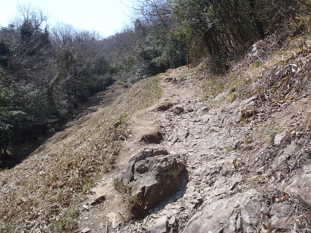 讃岐うどんつるつるツーデーウォーク 　崇徳天皇・へんろ道コース ブログ