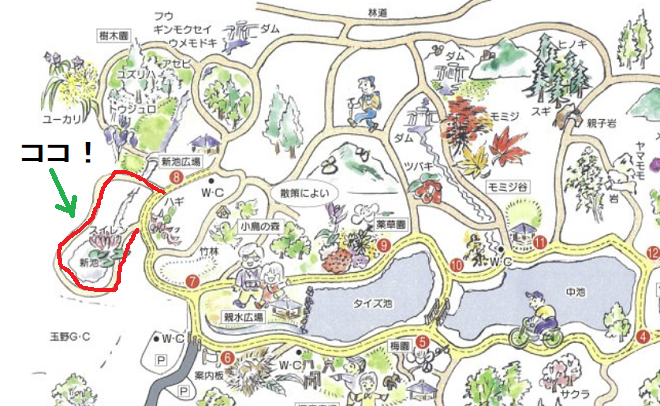 深山公園 遊歩道 進入禁止