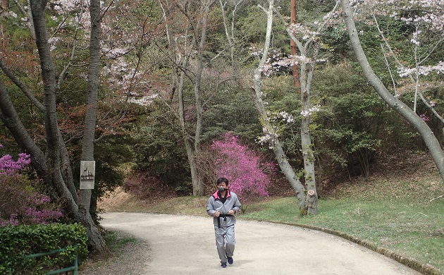 深山公園 ツツジ ランニング