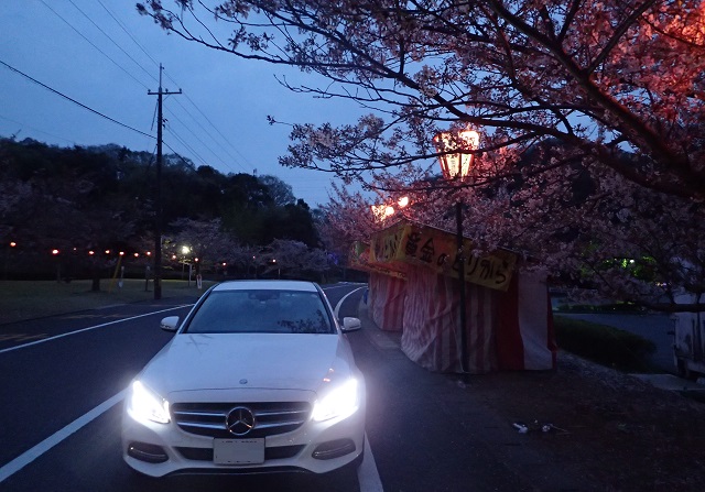 夜桜 ベンツCクラス ｗ205