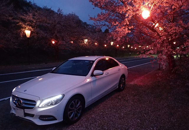 夜桜 ベンツCクラス ｗ205