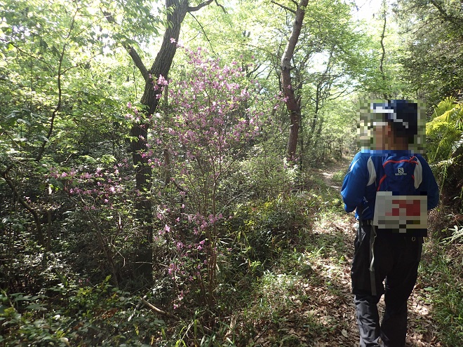 倉敷北部全山縦走大会 ブログ