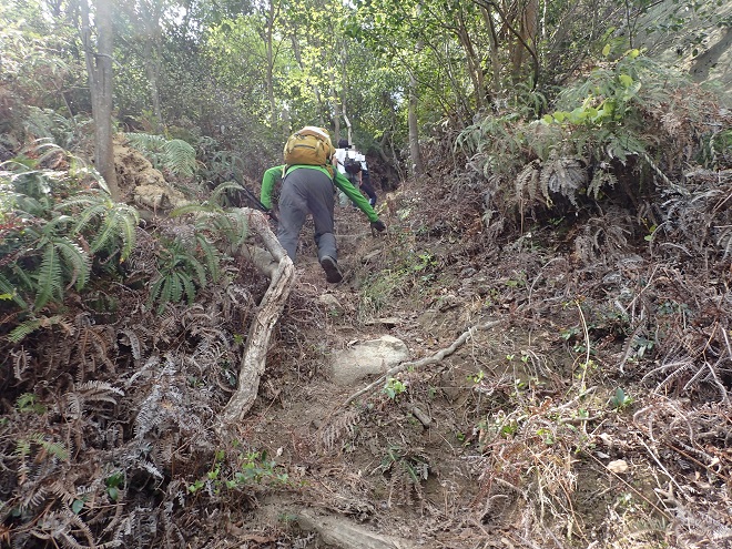 倉敷北部全山縦走大会 高鳥居山