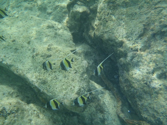 水納島 沖縄旅行 ブログ