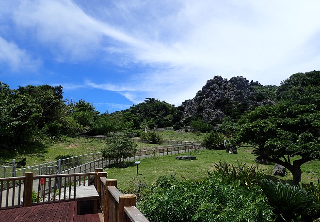 大石林山 沖縄家族旅行 ブログ