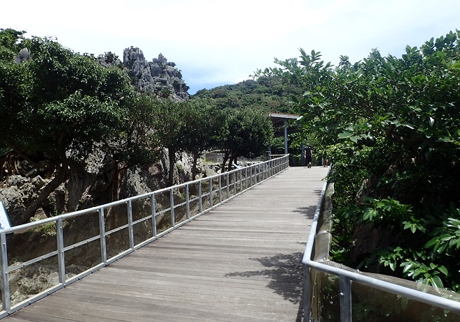 大石林山 沖縄家族旅行 ブログ