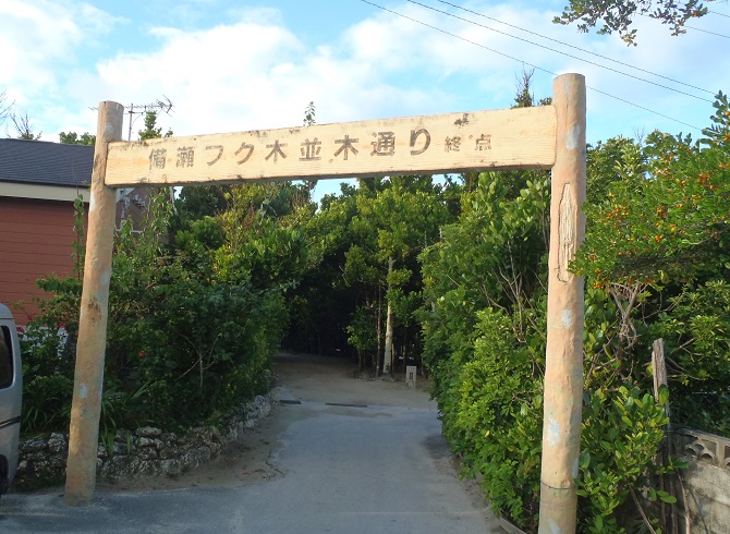 備瀬フクギ並木 ブログ　旅行記