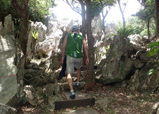 大石林山 歩き方 ブログ