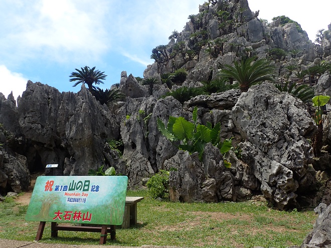 大石林山 悟空岩