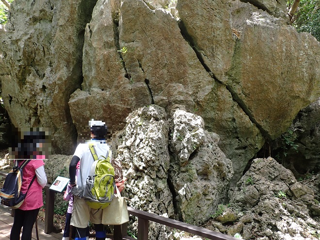 大石林山 石林の壁 パワースポット