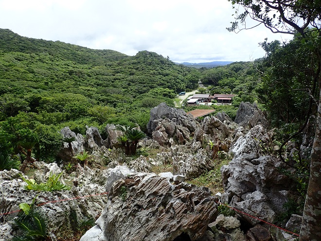 大石林山 沖縄家族旅行記