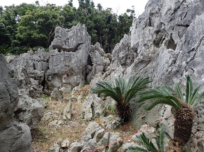 大石林山 沖縄家族旅行記