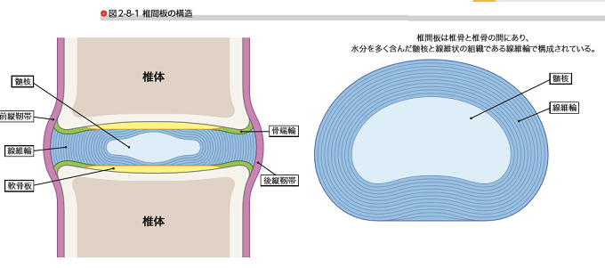 朝イチ 腰痛 解消法 起床時 腰痛