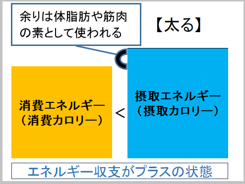 筋トレ　増量期　ブログ