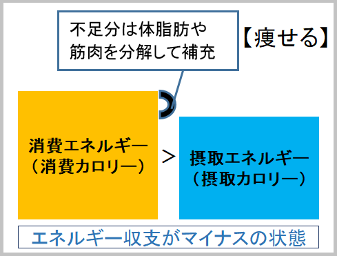 筋トレ　増量期　ブログ