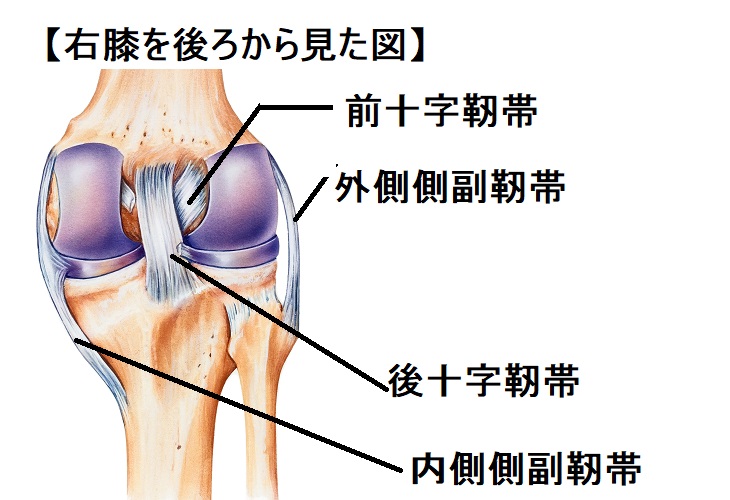 ランニング 膝の痛み 解消法