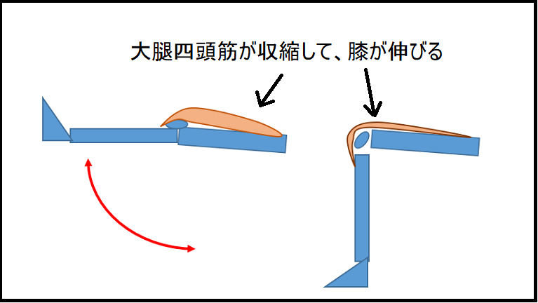 膝蓋靭帯炎 ランニング 膝の痛み