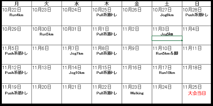 瀬戸内海タートルフルマラソン全国大会