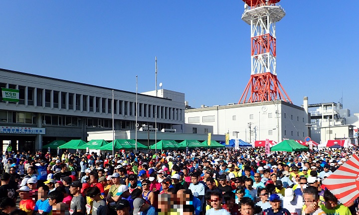 瀬戸内海タートルフルマラソン全国大会 コース