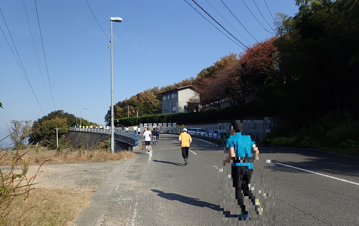 瀬戸内海タートルフルマラソン全国大会 コース