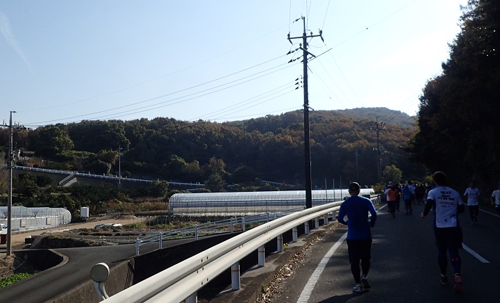 瀬戸内海タートルフルマラソン全国大会 コース