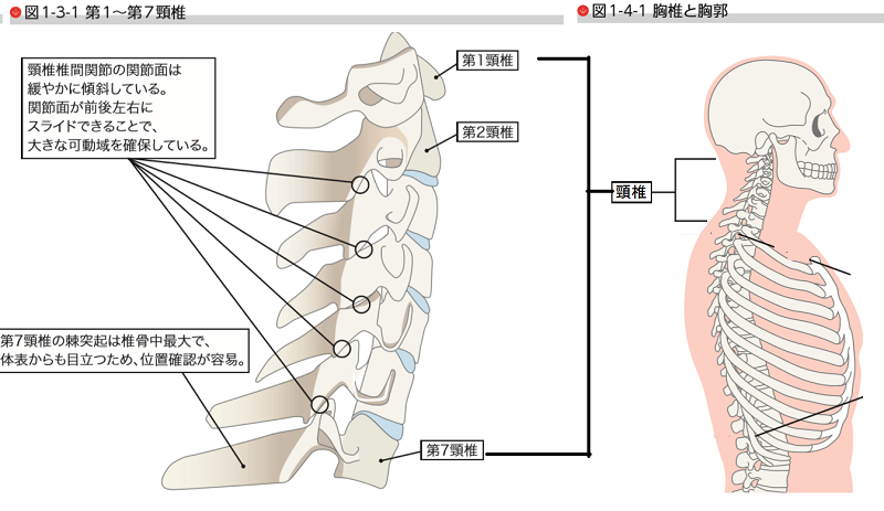 首の痛み、コリ、ランニング