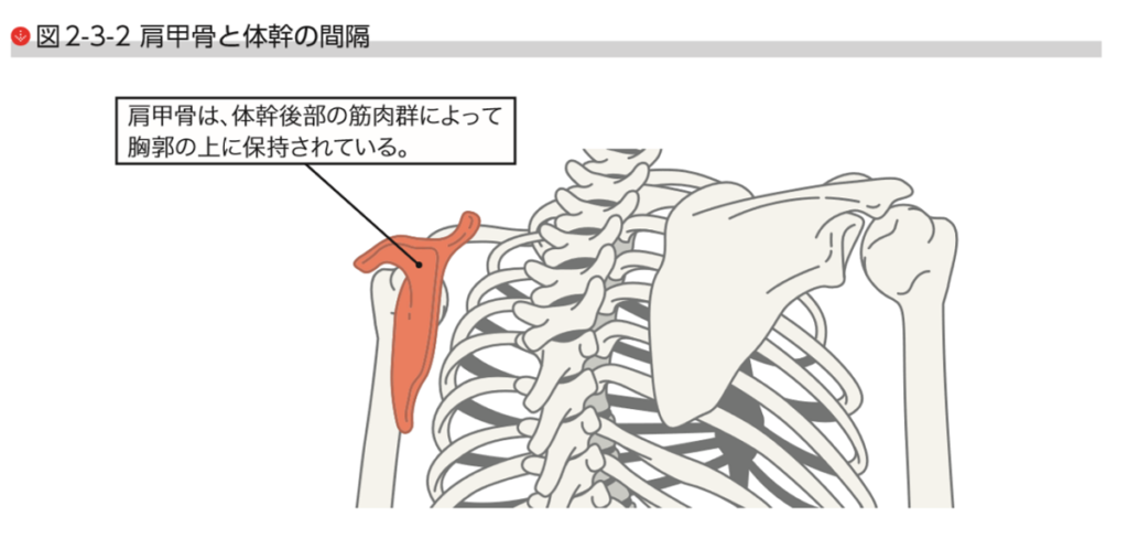 ランナー 肩こり 首こり　治療法