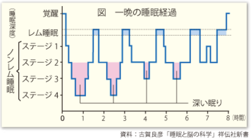 パワーナップ　レム睡眠