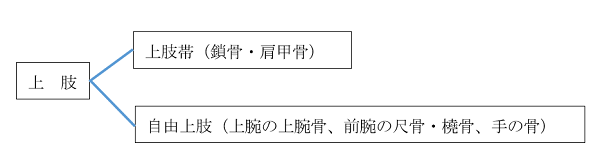 肩こり 首こり 解消法